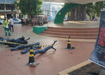 Ação do ICV no Centro de Cuiabá conscientiza sobre desmatamento e queimadas no Pantanal