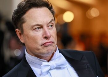 O investidor que processa Elon Musk por defesa de criptomoeda que desabou