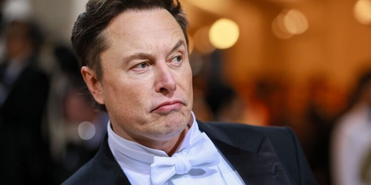 O investidor que processa Elon Musk por defesa de criptomoeda que desabou