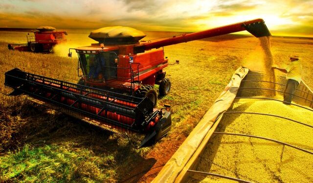 AGRONEGÓCIO; IMEA prevê crescimento na área de milho em Mato Grosso na safra 2022/23