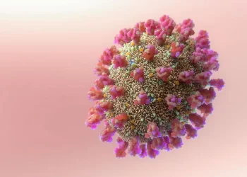 ‘É um alerta’: morte por nova subvariante BQ.1 é início de nova onda da Covid?