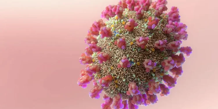 ‘É um alerta’: morte por nova subvariante BQ.1 é início de nova onda da Covid?