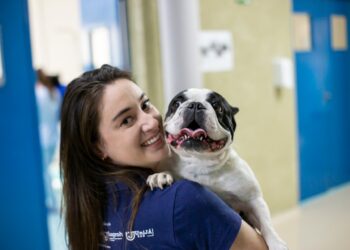 Diabetes Canina: Saiba como identificar e cuidar da saúde do seu animalzinho de estimação