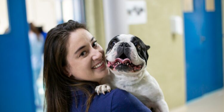 Diabetes Canina: Saiba como identificar e cuidar da saúde do seu animalzinho de estimação