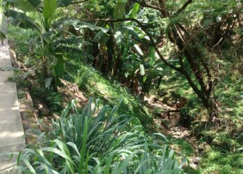 Criança de 5 anos cai em barranco e vai parar no CTI “Achei que já estivesse morto” Diz mãe