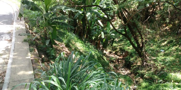 Criança de 5 anos cai em barranco e vai parar no CTI “Achei que já estivesse morto” Diz mãe