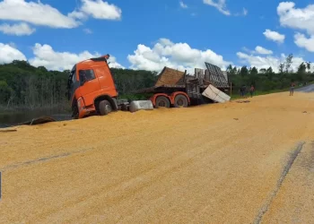 Carga de milho fica espalhada  em rodovia em Minas Gerais