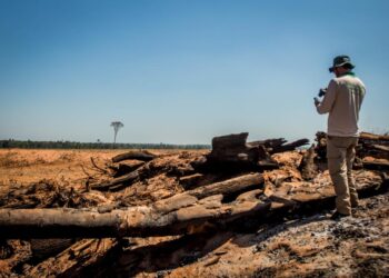 MT aplicou R$ 1,2 bilhão em multa por crimes ambientais em 2022