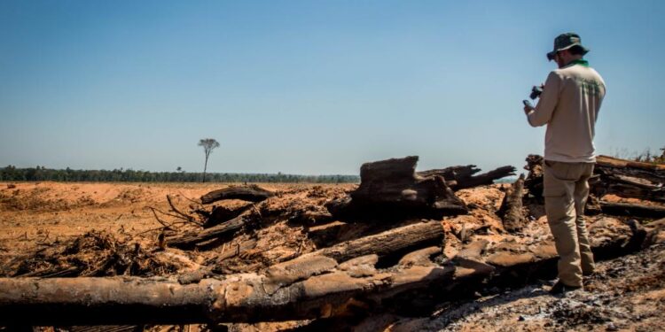 MT aplicou R$ 1,2 bilhão em multa por crimes ambientais em 2022