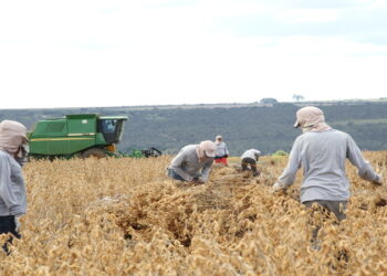 Número de trabalhadores no agro já supera índice pré-pandemia