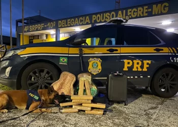 Homem é preso com maconha e ecstasy escondidos em violão falso, no Sul de Minas