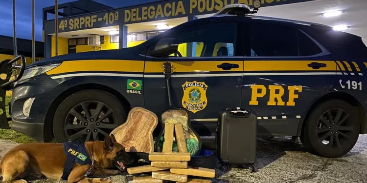 Homem é preso com maconha e ecstasy escondidos em violão falso, no Sul de Minas