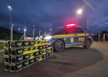 PRF recupera quase 300 baterias automotivas furtadas em Minas