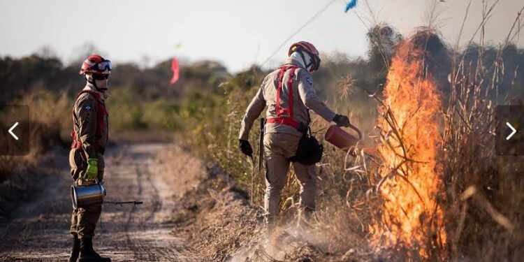 Queimadas florestais influenciaram no aumento de casos de Covid-19
