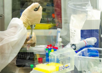 Mpox ainda é problema de saúde pública, dizem especialistas da Fiocruz