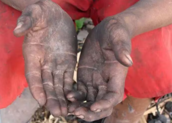 MG teve três pessoas resgatadas por dia em situação de trabalho escravo em 2022