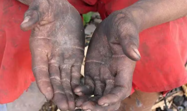 MG teve três pessoas resgatadas por dia em situação de trabalho escravo em 2022