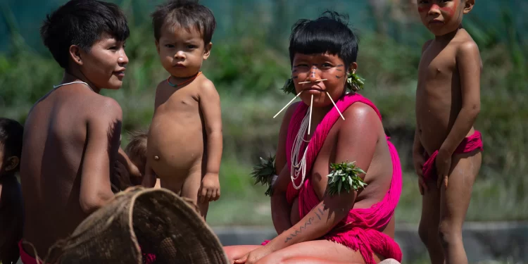 Nação Yanomami sofre entre o garimpo e pós pandemia, aponta estudo. No interior do Amazonas e de Roraima, na fronteira do Brasil com a Venezuela, quase 30 mil pessoas e diversas comunidades tradicionais se veem cercadas pelos riscos da exploração da floresta