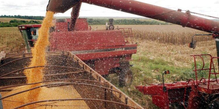 Liberação de recursos do Plano Safra já ultrapassou R$ 200 bilhões