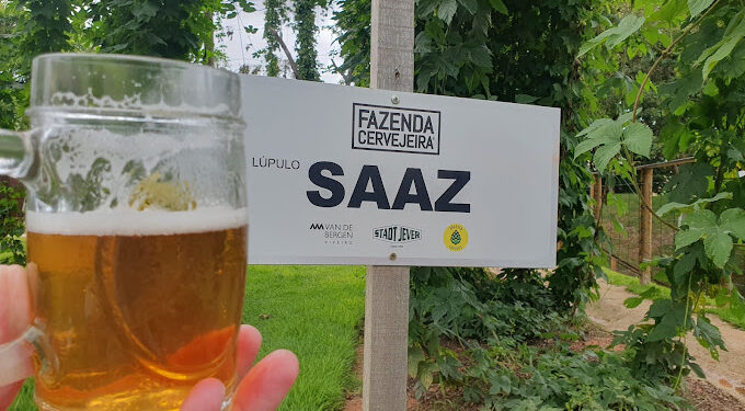 Fazenda Cervejeira  um conceito diferente e sustentável  em Belo Horizonte