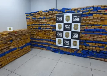 Polícia Civil apreende cerca de duas toneladas de maconha em caminhão frigorífico em BH