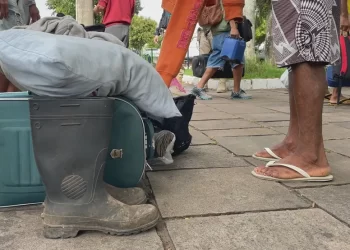 MPT dá dez dias para vinícolas apresentarem contratos com terceirizada