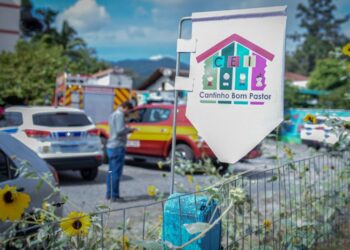 ‘Quando ouvi os gritos, me tranquei na sala com os bebês’