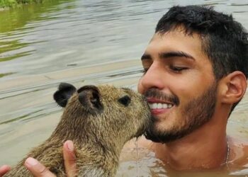 Vaquinha de tiktoker supera 5 vezes a meta e arrecada mais de R$ 83 mil para pagar multas de capivara adotada