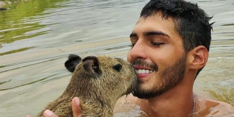 Vaquinha de tiktoker supera 5 vezes a meta e arrecada mais de R$ 83 mil para pagar multas de capivara adotada