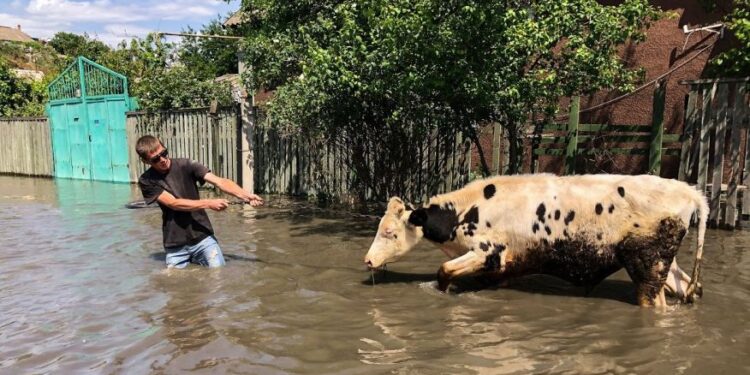 Ucrânia: inundação mata mais de 200 animais em zoológico, diz representante