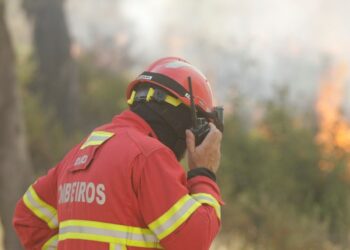 Onda de calor em Portugal; Cidade de Tavira com perigo muito elevado de incêndio