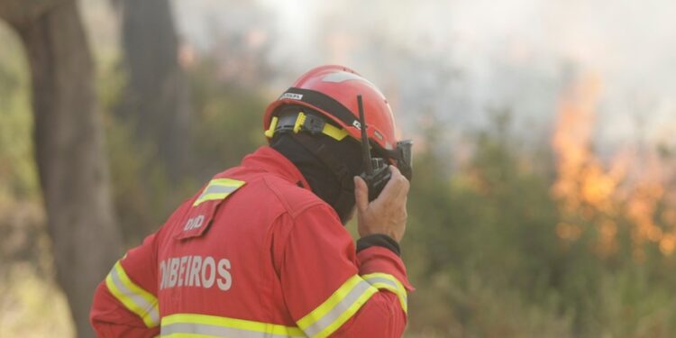 Onda de calor em Portugal; Cidade de Tavira com perigo muito elevado de incêndio