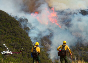 Portugal envia ajuda para combater os incêndios no Canadá