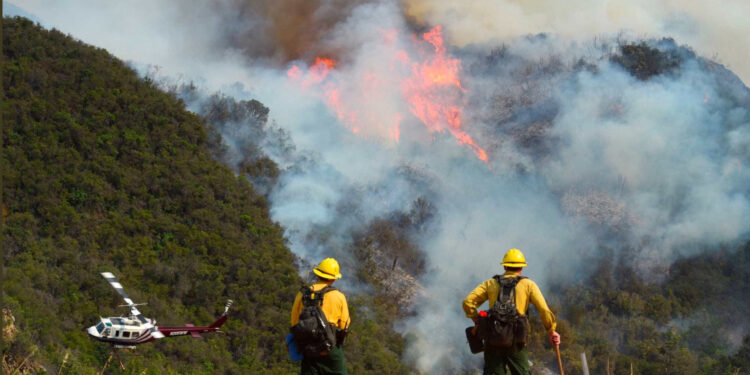Portugal envia ajuda para combater os incêndios no Canadá
