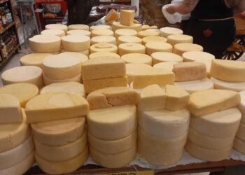 Entrada gratuita. BH recebe 5ª edição do Festival do Queijo Artesanal de Minas no feriado