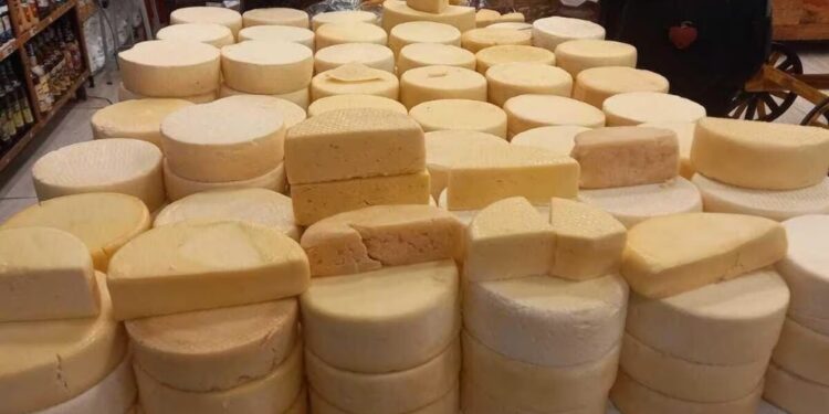 Entrada gratuita. BH recebe 5ª edição do Festival do Queijo Artesanal de Minas no feriado