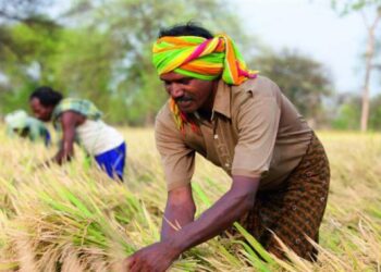 Índia suspende exportações de arroz e causa preocupação com inflação dos alimentos no mundo