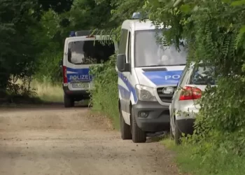 Polícia alemã procura por leão nos arredores de Berlim