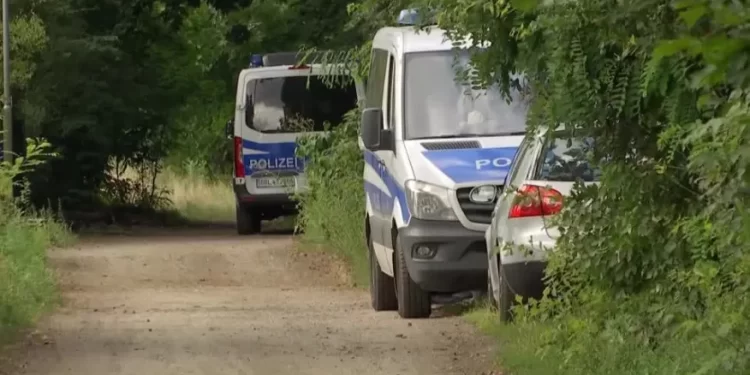 Polícia alemã procura por leão nos arredores de Berlim