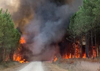Onda de calor: Europa enfrenta temperaturas acima de 45ºC e incêndios florestais