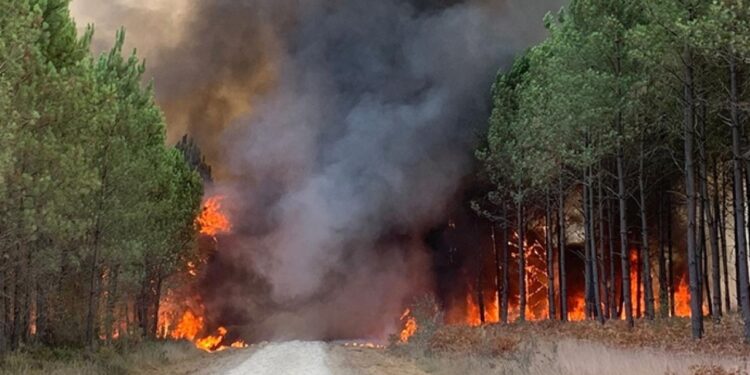 Onda de calor: Europa enfrenta temperaturas acima de 45ºC e incêndios florestais