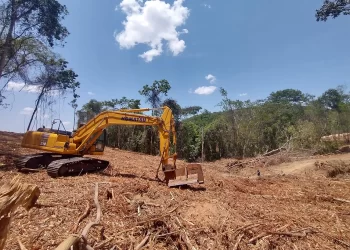 Lei europeia protege a Amazônia mas condena Cerrado a ‘zona de sacrifício’