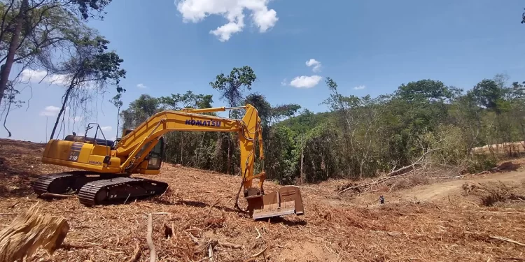 Lei europeia protege a Amazônia mas condena Cerrado a ‘zona de sacrifício’