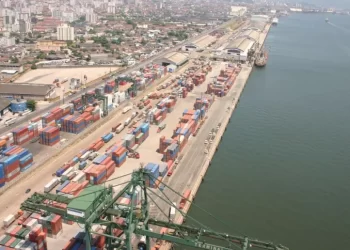 Mega Terminal de celulose será inaugurado no Porto de Santos nesta segunda
