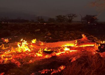 Novo balanço: sobe para 55 o número de mortos em incêndio no Havai