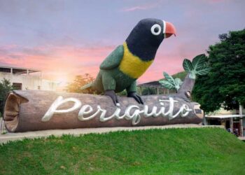 Sem sorte? Só oito cidades mineiras não ganharam em loterias em 2023