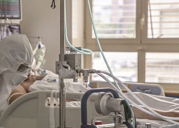 OMS adverte que estirpe EG.5 da Covid-19 pode aumentar infeções e tornar-se dominante