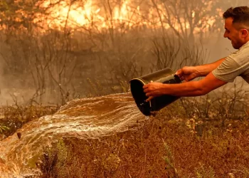 Incêndio de grandes proporções  em Odemira  preocupa autoridades