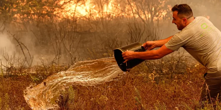 Incêndio de grandes proporções  em Odemira  preocupa autoridades