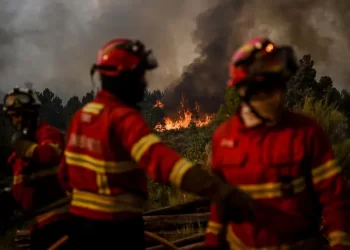 Incêndio em Proença-a-Nova tem três frentes ativas, situação é “muito difícil”